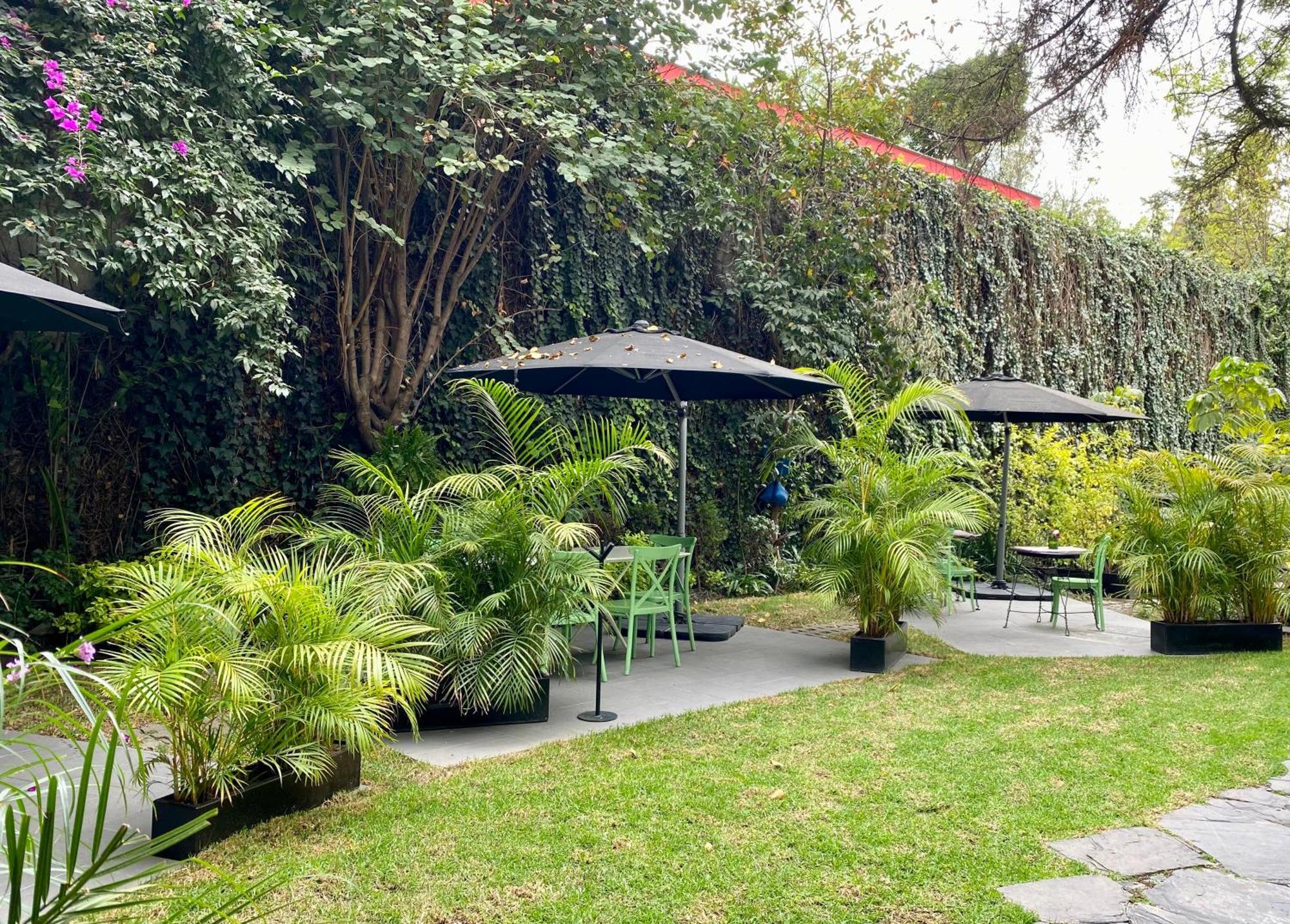 Pug Seal Polanco Anatole France Hotel Mexico City Eksteriør billede
